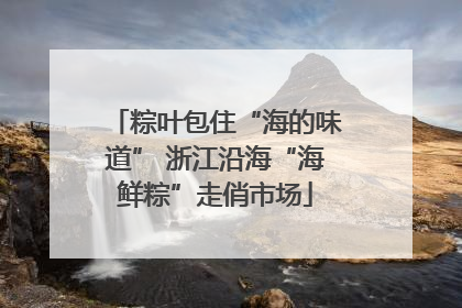 粽叶包住“海的味道” 浙江沿海“海鲜粽”走俏市场
