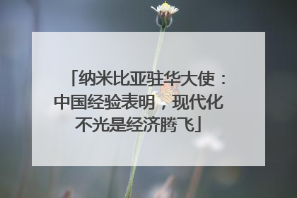 纳米比亚驻华大使：中国经验表明，现代化不光是经济腾飞