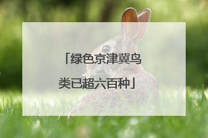 绿色京津冀鸟类已超六百种
