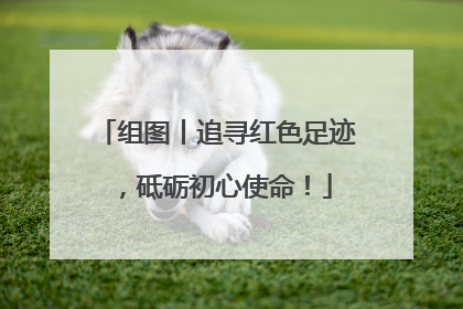 组图丨追寻红色足迹，砥砺初心使命！