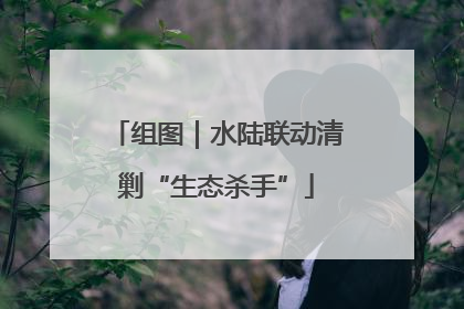 组图｜水陆联动清剿“生态杀手”