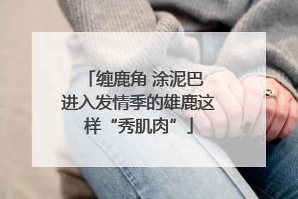 缠鹿角 涂泥巴 进入发情季的雄鹿这样“秀肌肉”