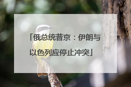 俄总统普京：伊朗与以色列应停止冲突