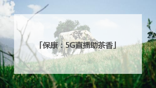 保康：5G直播助茶香