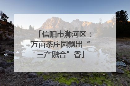 信阳市浉河区：万亩茶庄园飘出“三产融合”香