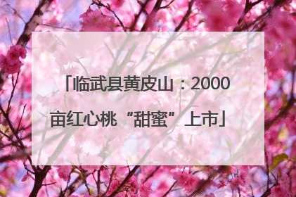 临武县黄皮山：2000亩红心桃“甜蜜”上市