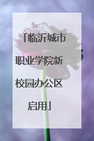 临沂城市职业学院新校园办公区启用