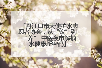 丹江口市天使护水志愿者协会：从“饮”到“养” 中医夜市解锁水健康新密码