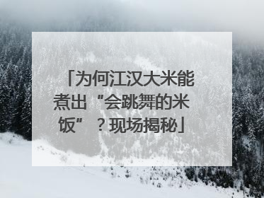 为何江汉大米能煮出“会跳舞的米饭”？现场揭秘