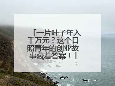 一片叶子年入千万元？这个日照青年的创业故事藏着答案！