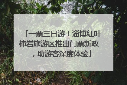 一票三日游！淄博红叶柿岩旅游区推出门票新政，助游客深度体验