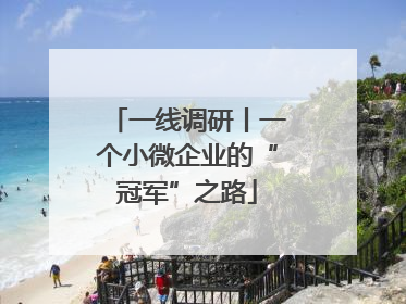 一线调研丨一个小微企业的“冠军”之路