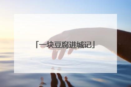 一块豆腐进城记