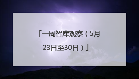 一周智库观察（5月23日至30日）