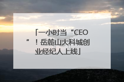 一小时当“CEO”！岳麓山大科城创业经纪人上线