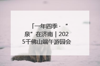 一年四季 · “泉”在济南｜2025千佛山端午游园会邀您共享亲子时光