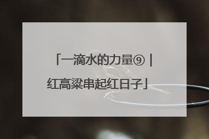 一滴水的力量⑨｜红高粱串起红日子
