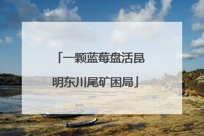 一颗蓝莓盘活昆明东川尾矿困局