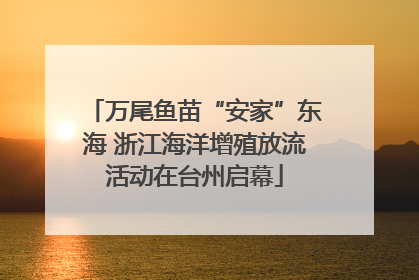 万尾鱼苗“安家”东海 浙江海洋增殖放流活动在台州启幕
