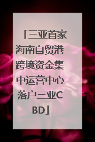 三亚首家海南自贸港跨境资金集中运营中心落户三亚CBD