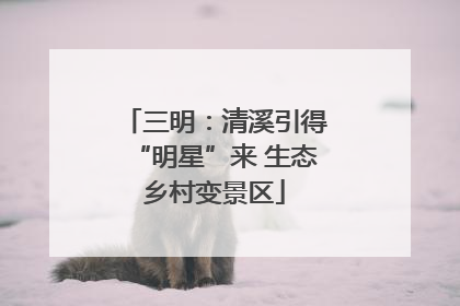 三明：清溪引得“明星”来 生态乡村变景区
