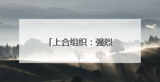 上合组织：强烈谴责以色列对伊朗发动的军事打击