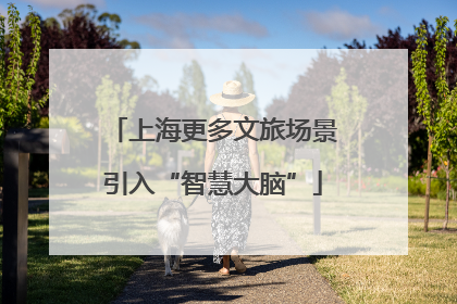 上海更多文旅场景引入“智慧大脑”