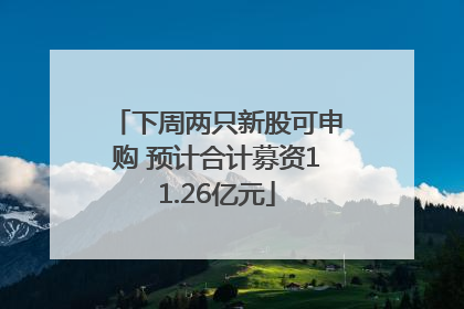 下周两只新股可申购 预计合计募资11.26亿元