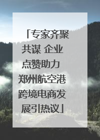 专家齐聚共谋 企业点赞助力 郑州航空港跨境电商发展引热议