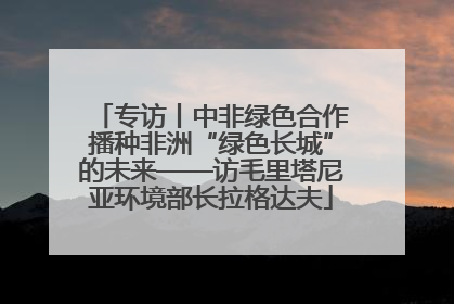 专访丨中非绿色合作播种非洲“绿色长城”的未来——访毛里塔尼亚环境部长拉格达夫