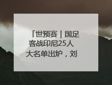 世预赛｜国足客战印尼25人大名单出炉，刘若钒落选