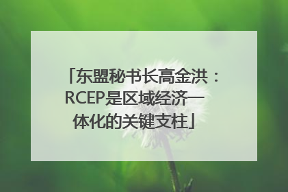 东盟秘书长高金洪：RCEP是区域经济一体化的关键支柱
