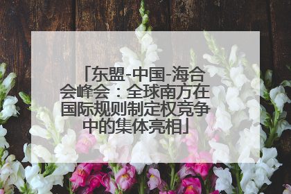 东盟-中国-海合会峰会：全球南方在国际规则制定权竞争中的集体亮相