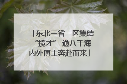 东北三省一区集结“揽才” 逾八千海内外博士奔赴而来