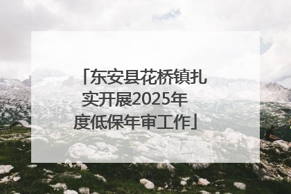 东安县花桥镇扎实开展2025年度低保年审工作