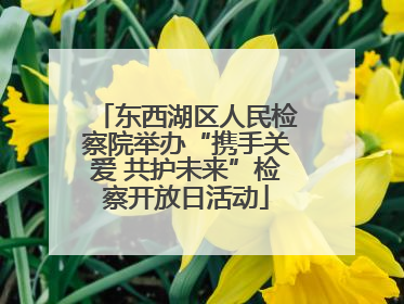 东西湖区人民检察院举办“携手关爱 共护未来”检察开放日活动