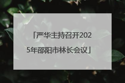 严华主持召开2025年邵阳市林长会议