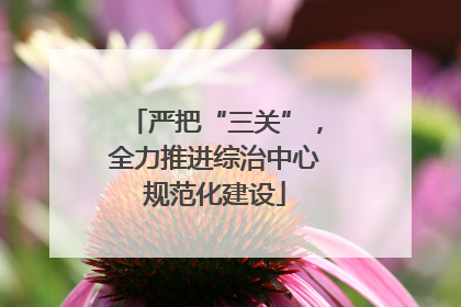 严把“三关”，全力推进综治中心规范化建设