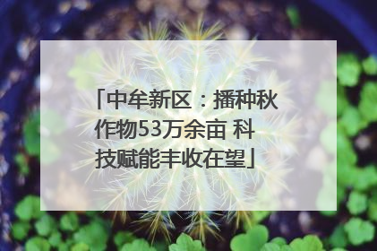 中牟新区：播种秋作物53万余亩 科技赋能丰收在望