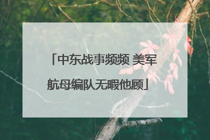 中东战事频频 美军航母编队无暇他顾