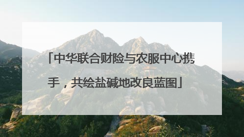 中华联合财险与农服中心携手，共绘盐碱地改良蓝图