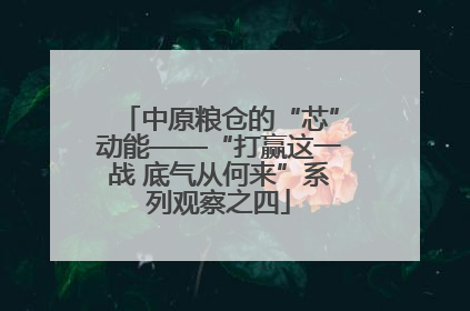 中原粮仓的“芯”动能——“打赢这一战 底气从何来”系列观察之四
