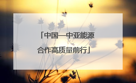 中国—中亚能源合作高质量前行