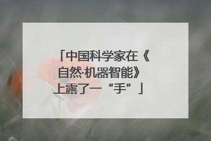 中国科学家在《自然·机器智能》上露了一“手”
