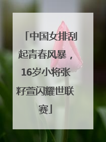 中国女排刮起青春风暴，16岁小将张籽萱闪耀世联赛