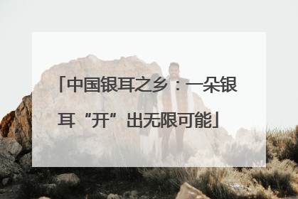 中国银耳之乡：一朵银耳“开”出无限可能