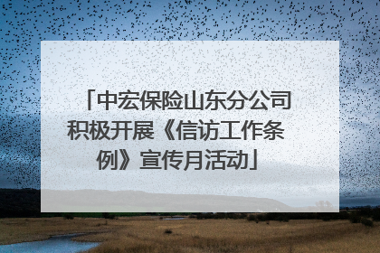 中宏保险山东分公司积极开展《信访工作条例》宣传月活动