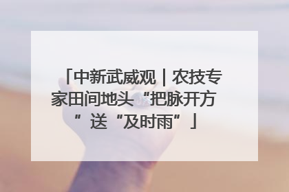 中新武威观｜农技专家田间地头“把脉开方”送“及时雨”