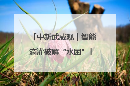 中新武威观｜智能滴灌破解“水困”