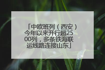 中欧班列（西安）今年以来开行超2500列，多条铁海联运线路连接山东